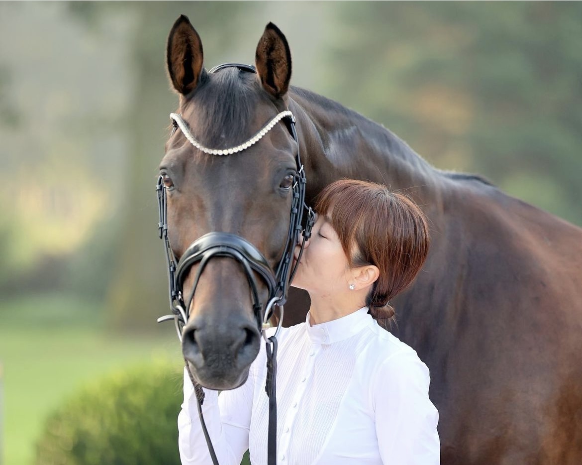 乗馬 Equipe エキッペ 馬場鞍 VIKTORIA 馬術 煙たい