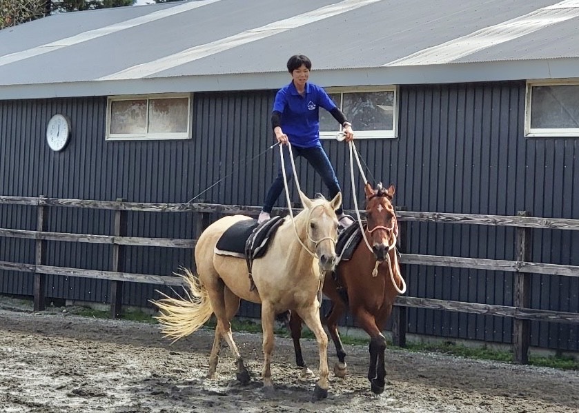 ホースショー Hiroyuki Mochida Horsemanship ホースショー持田裕之氏＆桜流鏑馬チームによる弓矢演舞 | ホースメッセ  公式サイト